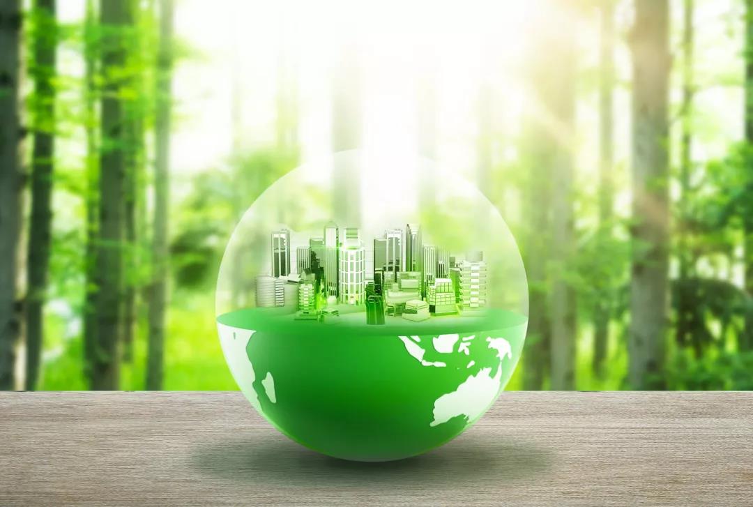 1633677366832802.jpeg 1633677366832802.jpeg